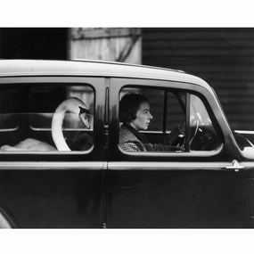 "Swan In A Car" from Getty Imagesnordic style wall decor