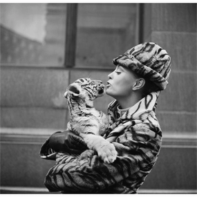 "Tiger Lady" from Getty Imagesnordic style wall decor