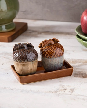 Acorn Salt & Pepper Shaker Setmodern kitchen decor ,kitchen dinner set ,dinnerware 