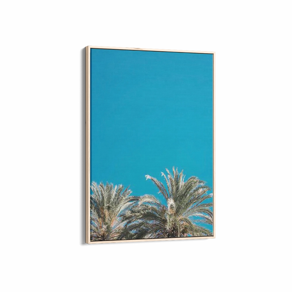 American Palms