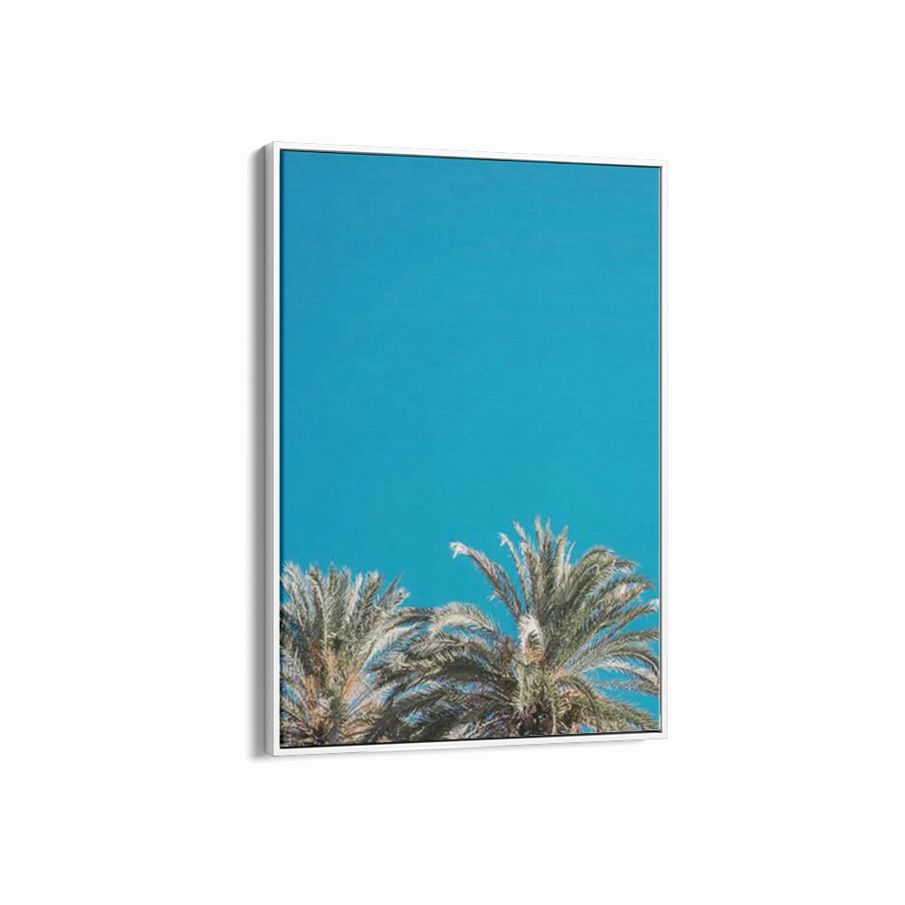 American Palms