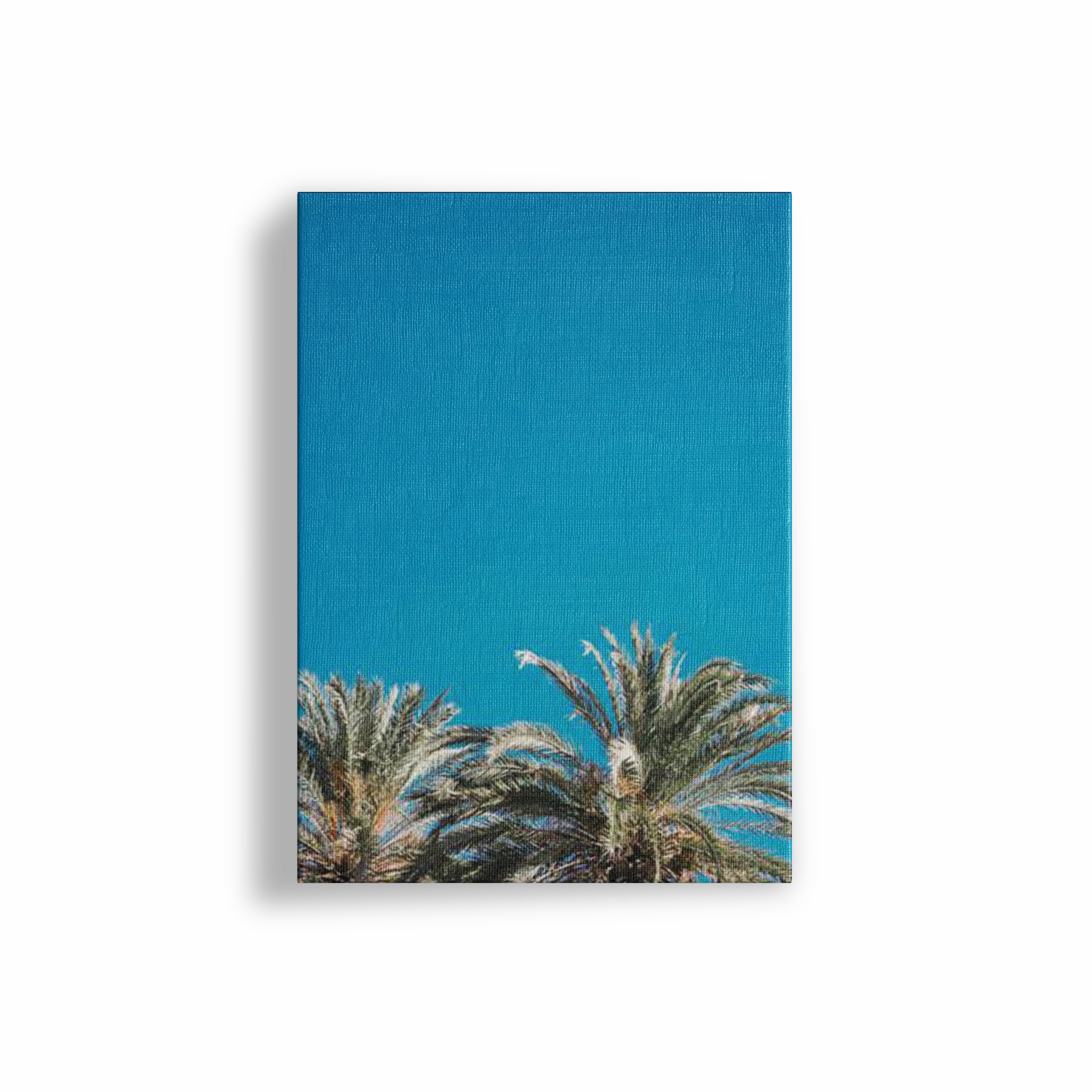 American Palms