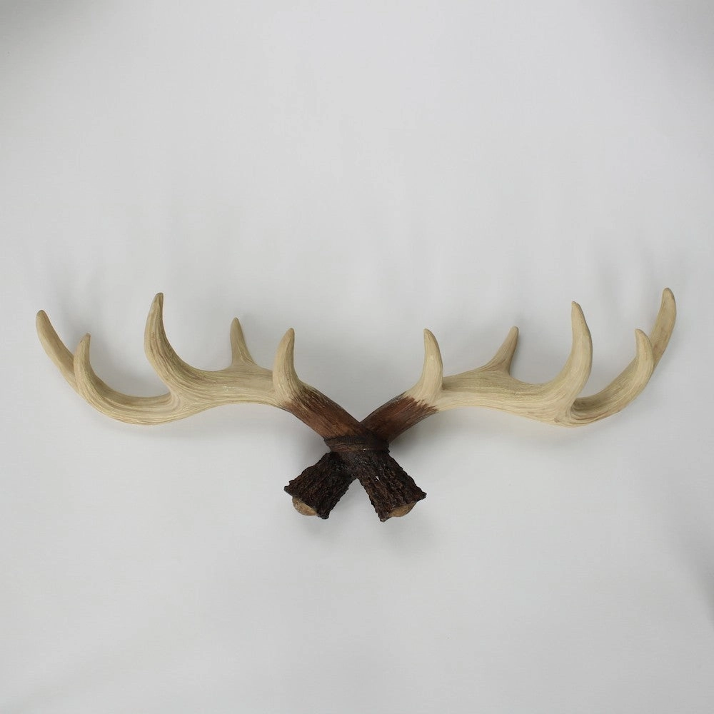 Antler Wall Hooks