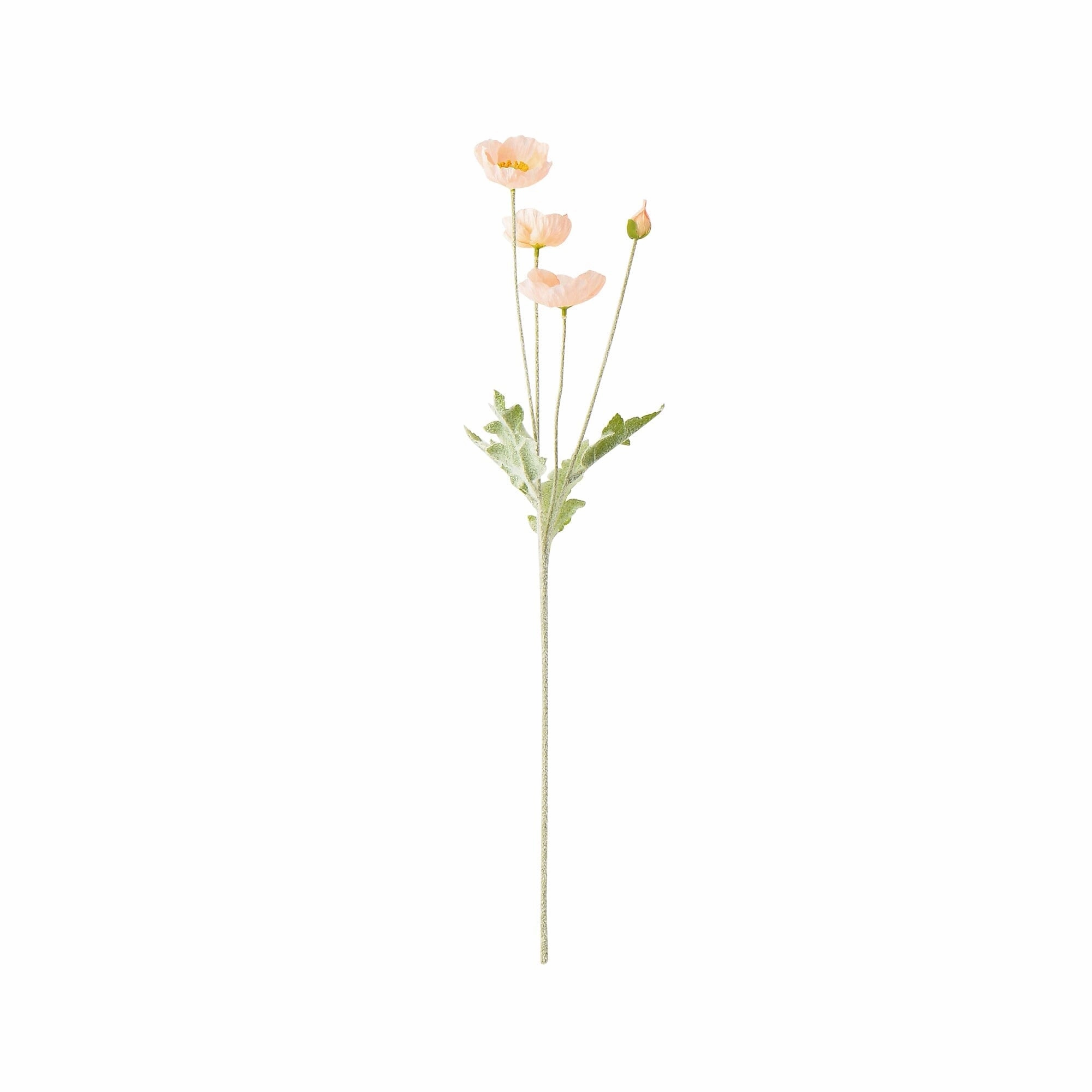 Art Flower Poppy S Pinkhome decor ,wall decor 