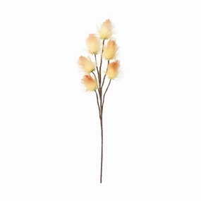 Art Plant Dandelion Orangehome decor ,wall decor 