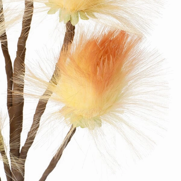Art Plant Dandelion Orange