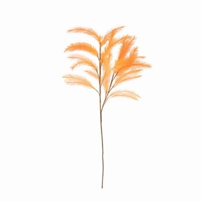 Art Plant Pampas Orangehome decor ,wall decor 