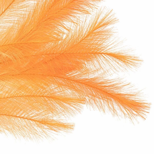Art Plant Pampas Orange