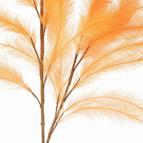 Art Plant Pampas Orange