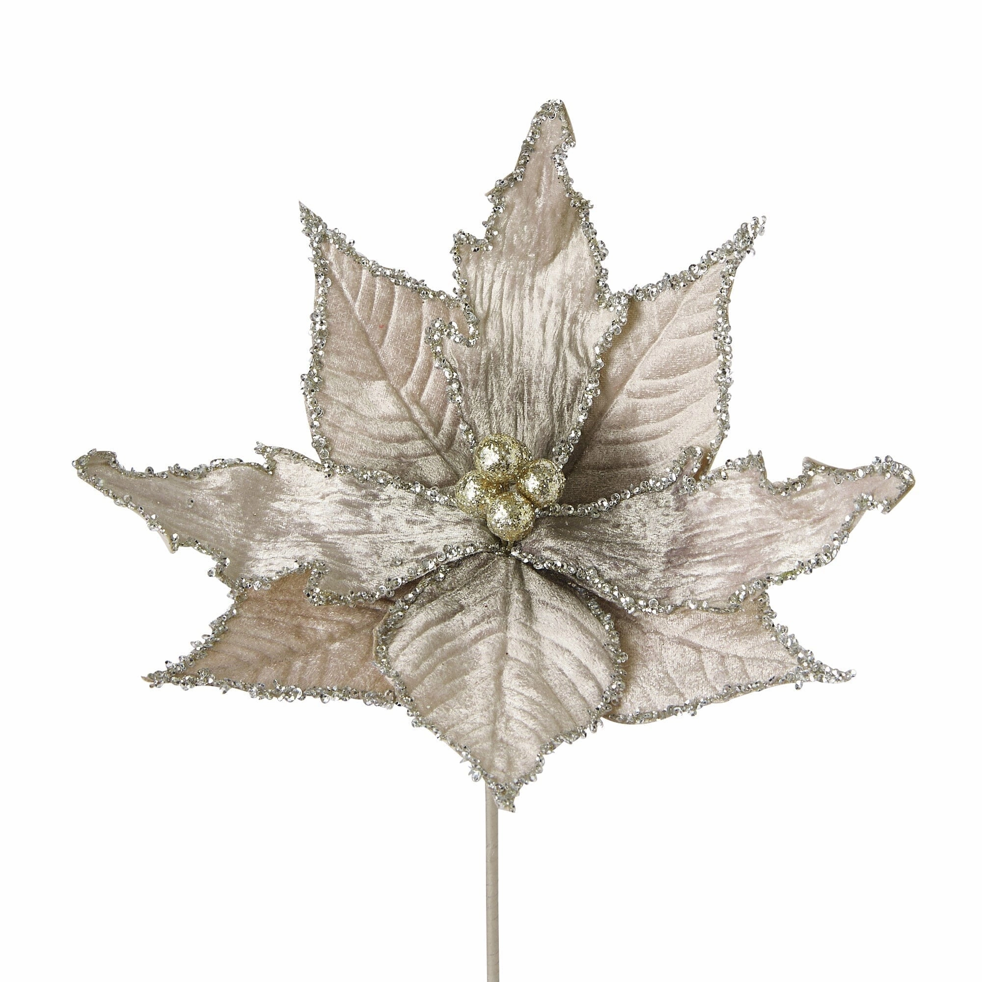 Art Plants Velvet Flower Ivory