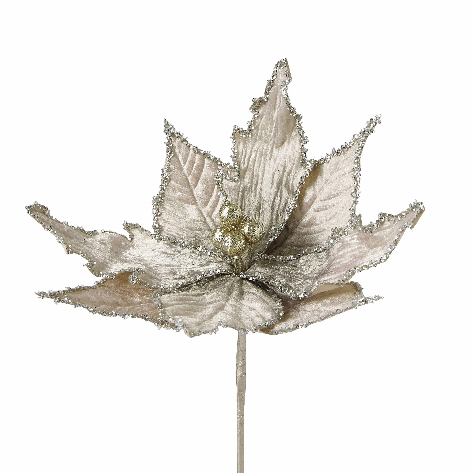 Art Plants Velvet Flower Ivory