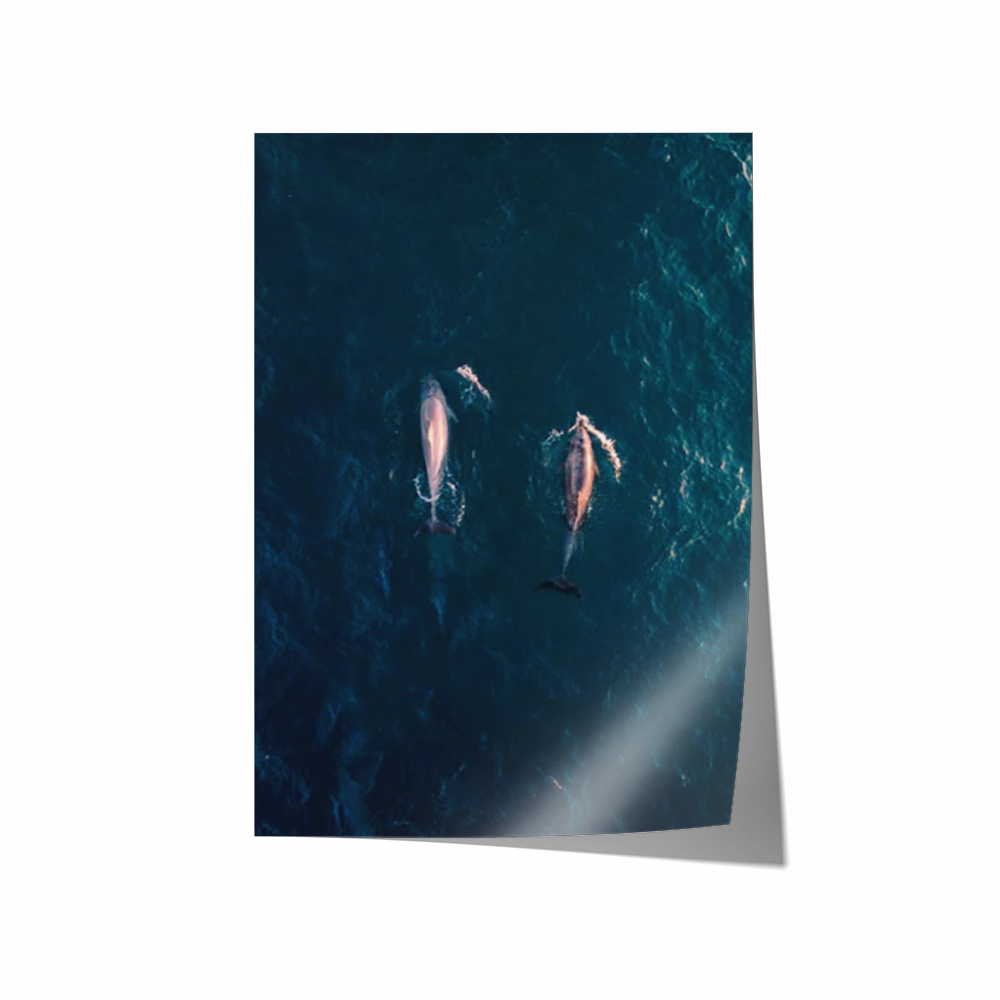 Avalon Beach