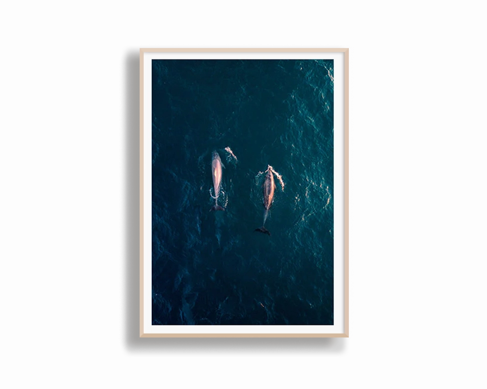 Avalon Beach