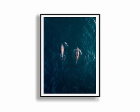 Avalon Beachnordic style wall decor