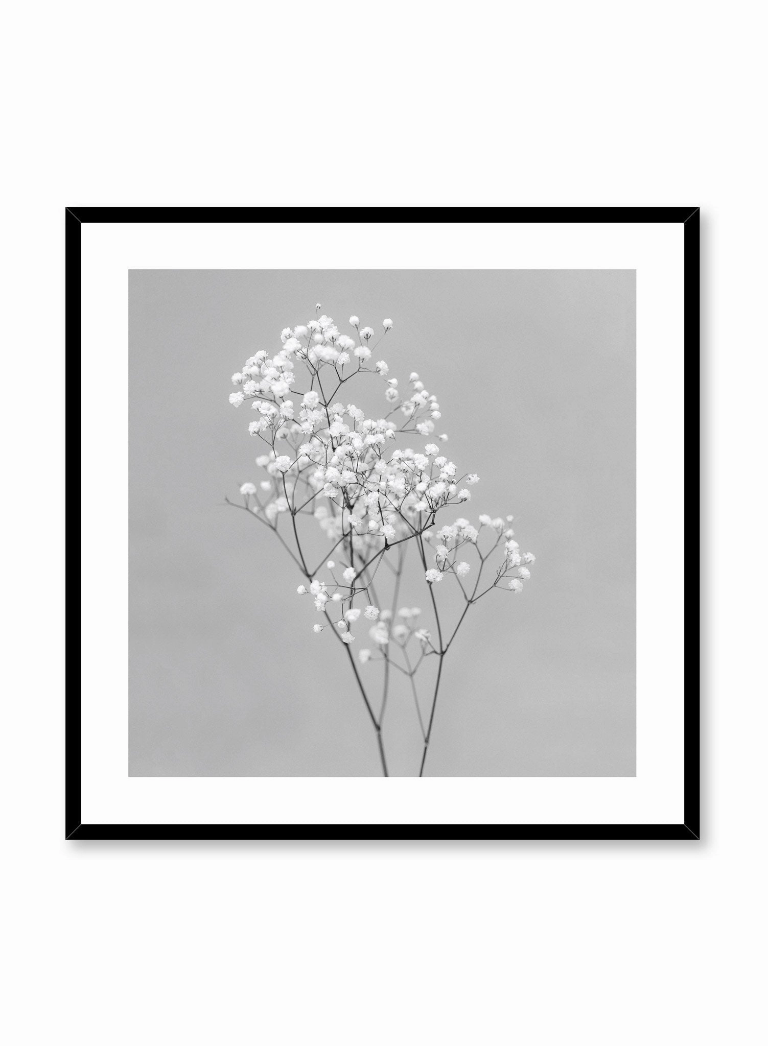 Baby's Breath in Black, Poster