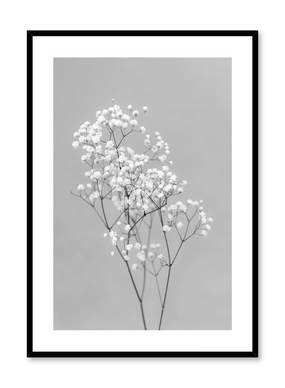 Baby's Breath in Black, Posterpop culture themed posters