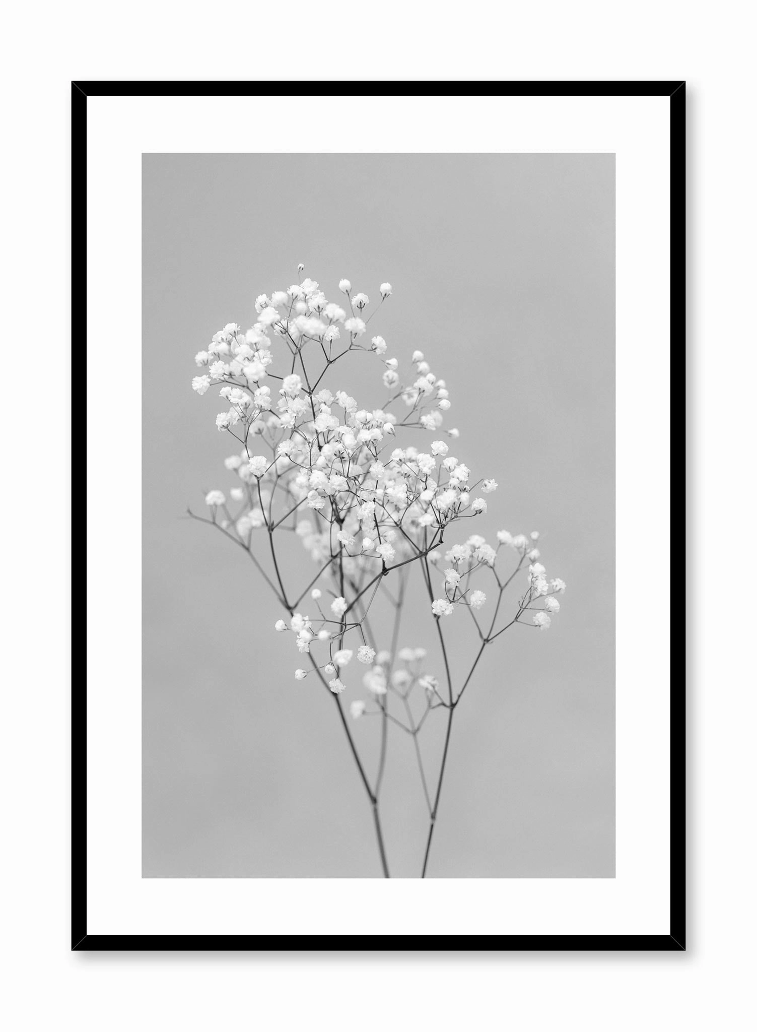 Baby's Breath in Black, Posterpop culture themed posters