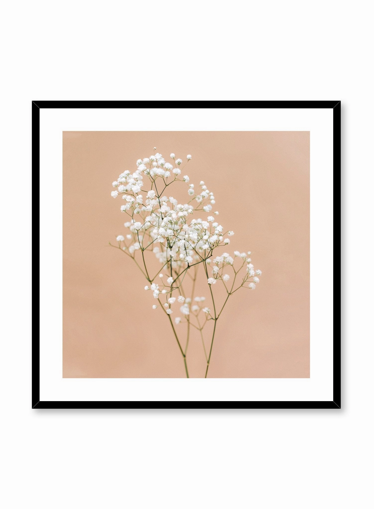 Baby's Breath, Poster