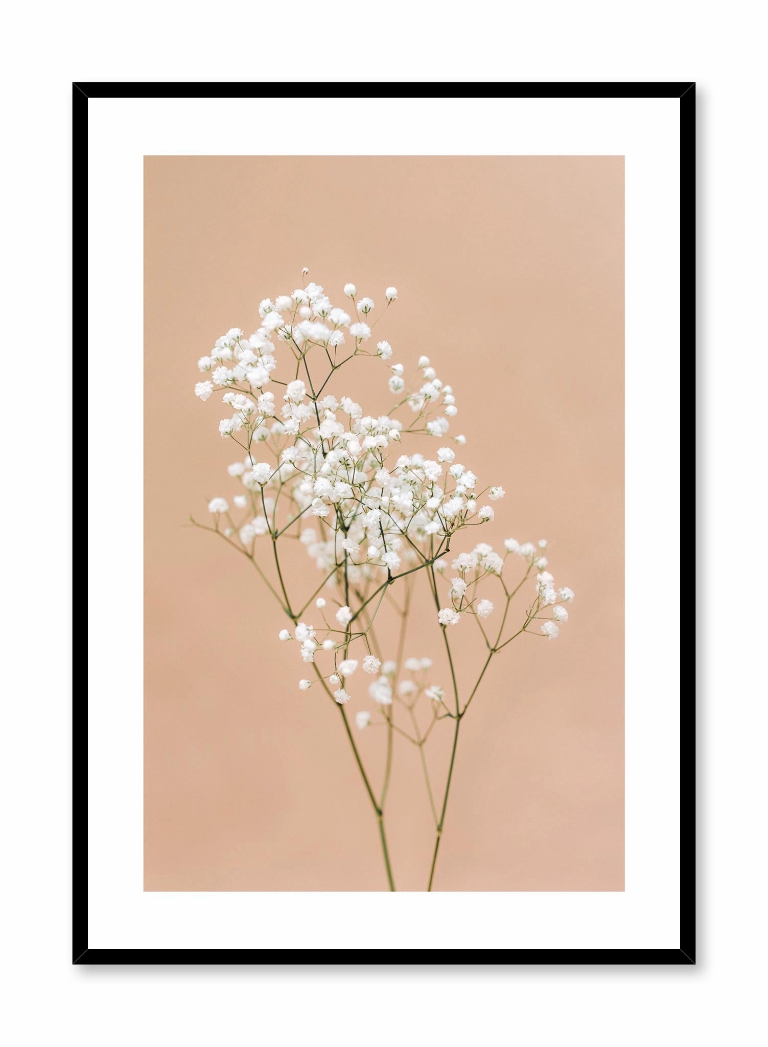 Baby's Breath, Posterpop culture themed posters