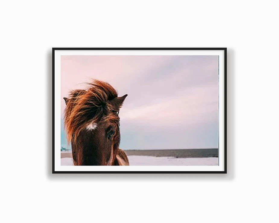 Beach Brumbynordic style wall decor