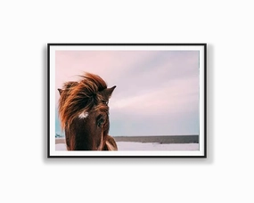Beach Brumbynordic style wall decor