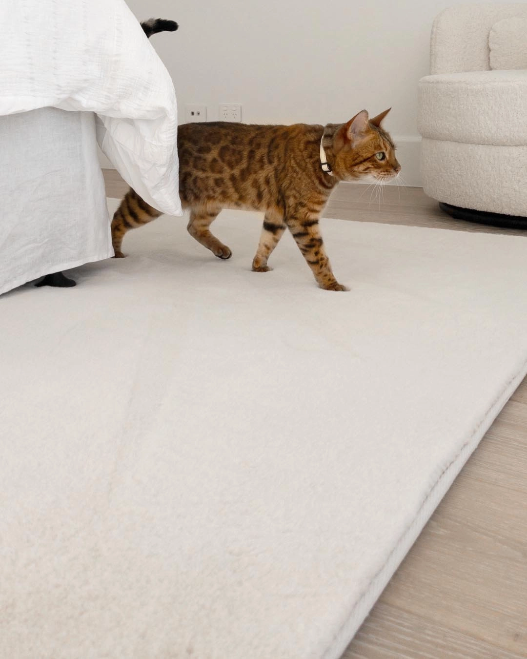 Becca Cream Shag Rug