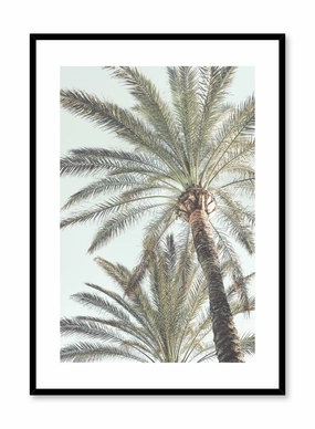 Below the Palms, Posterpop culture themed posters
