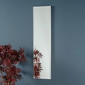 Biagio - Mirror Panelwall mounted decorative mirror,full length dressing mirror