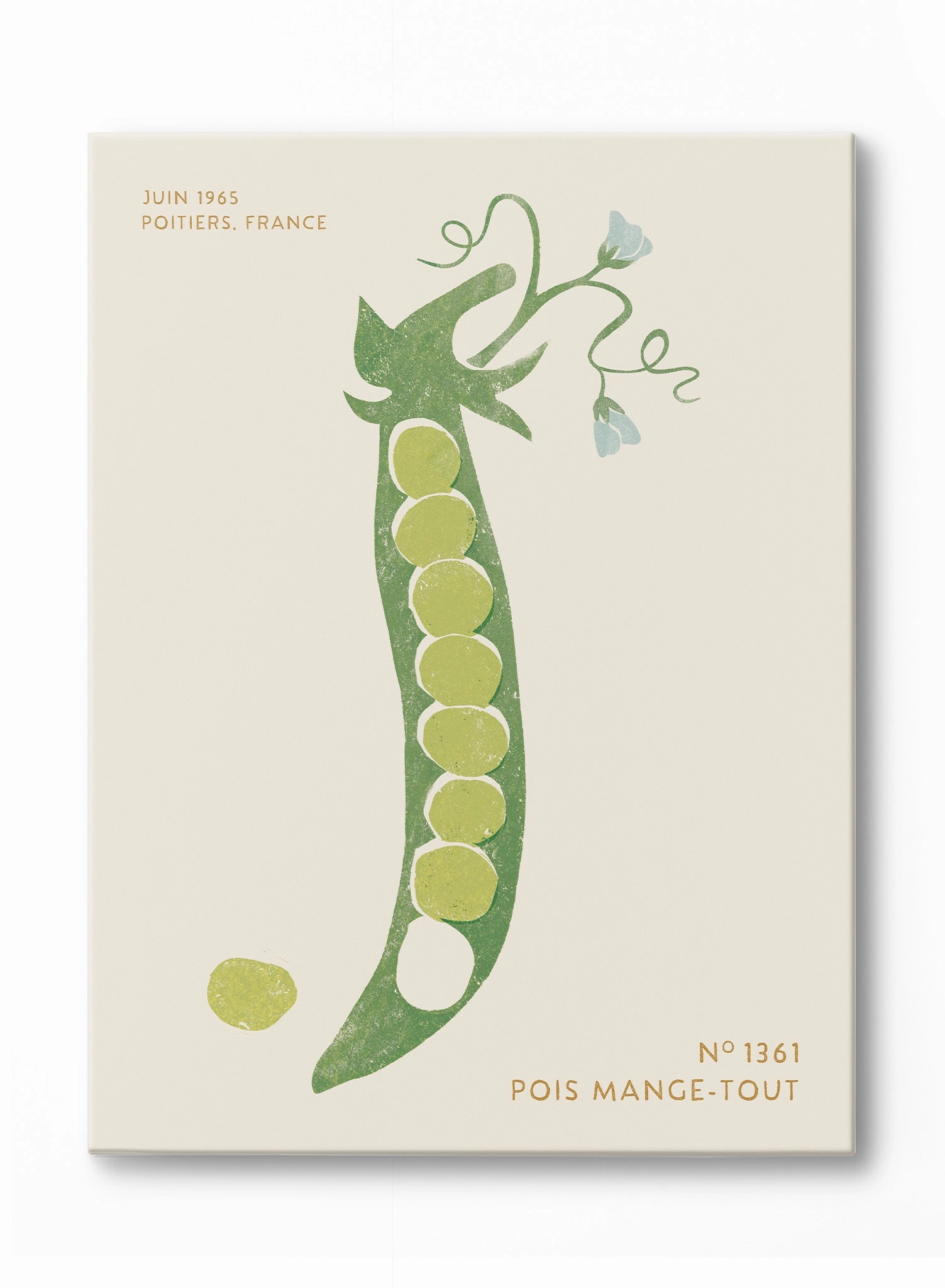 Block Print Peas in a Pod, Canvasindoor decorative canvas print