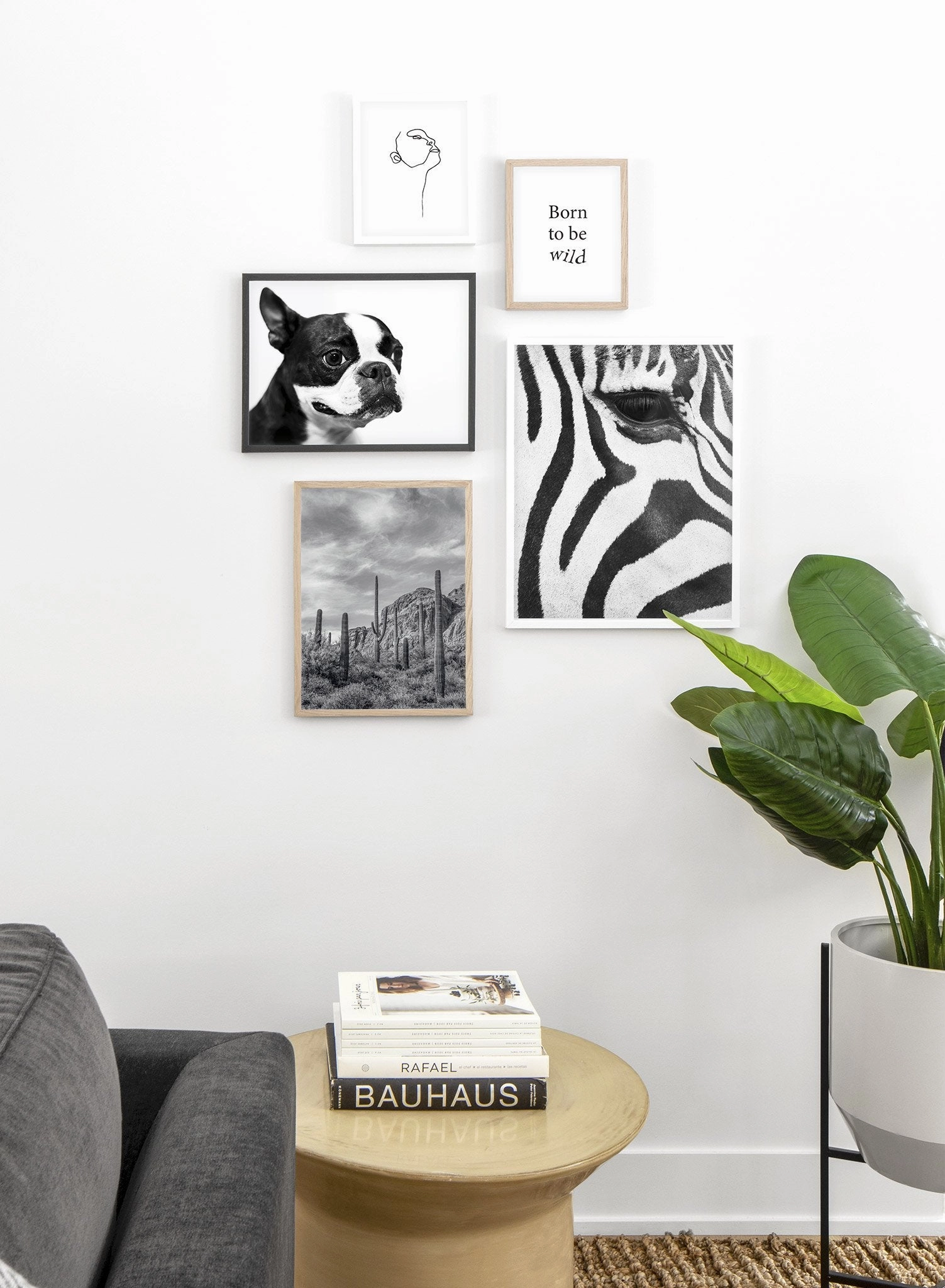 Boston Terrier, Poster