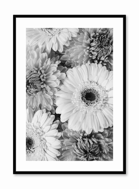 Bouquet of Gerberas, Posterpop culture themed posters