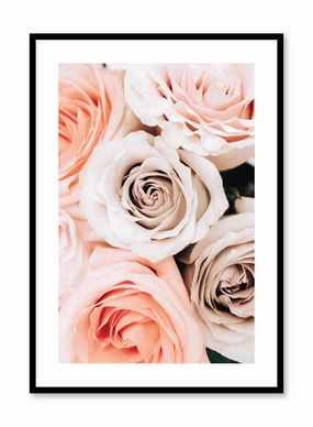 Bouquet of Roses, Posterpop culture themed posters