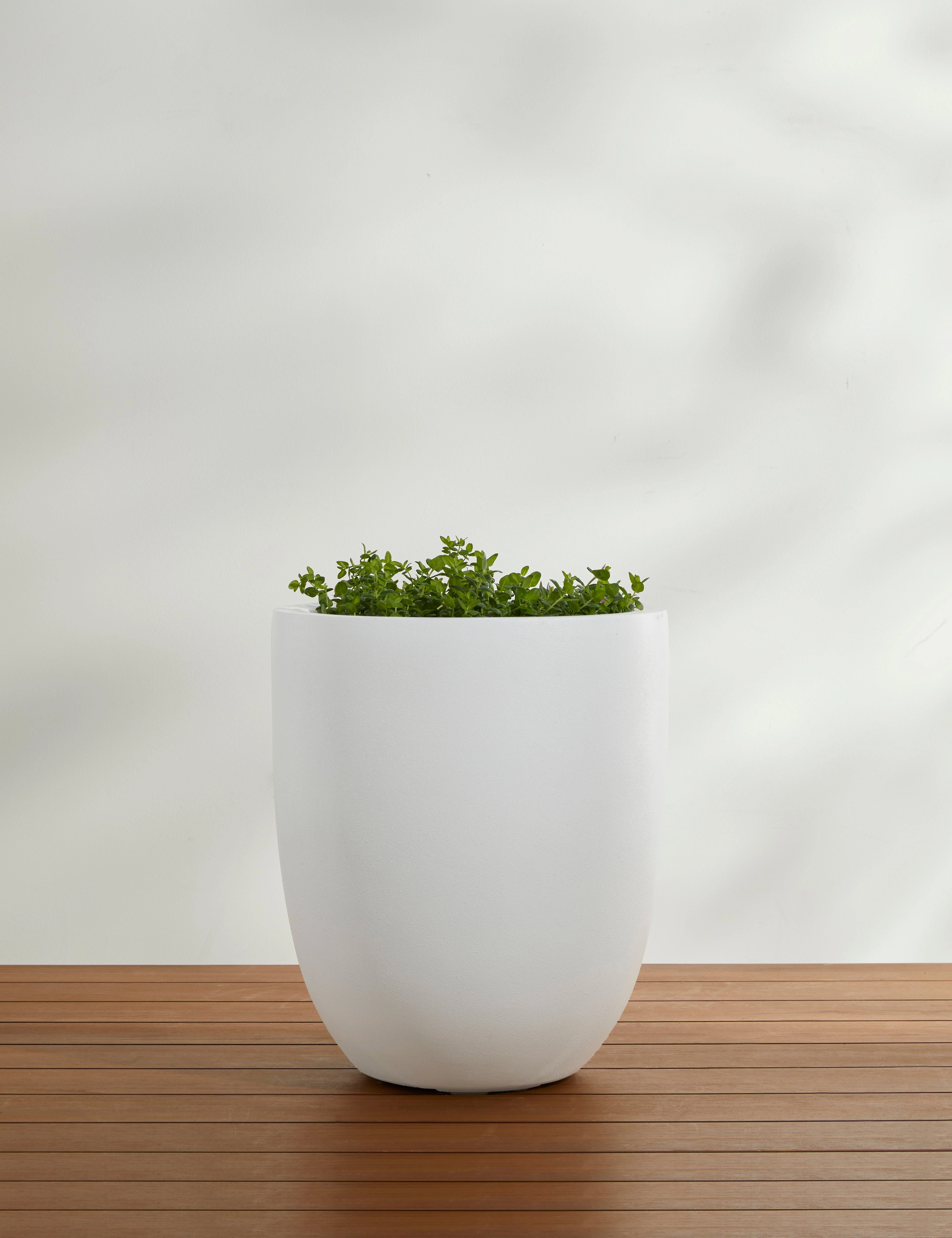 Bradford Planters by Campania International