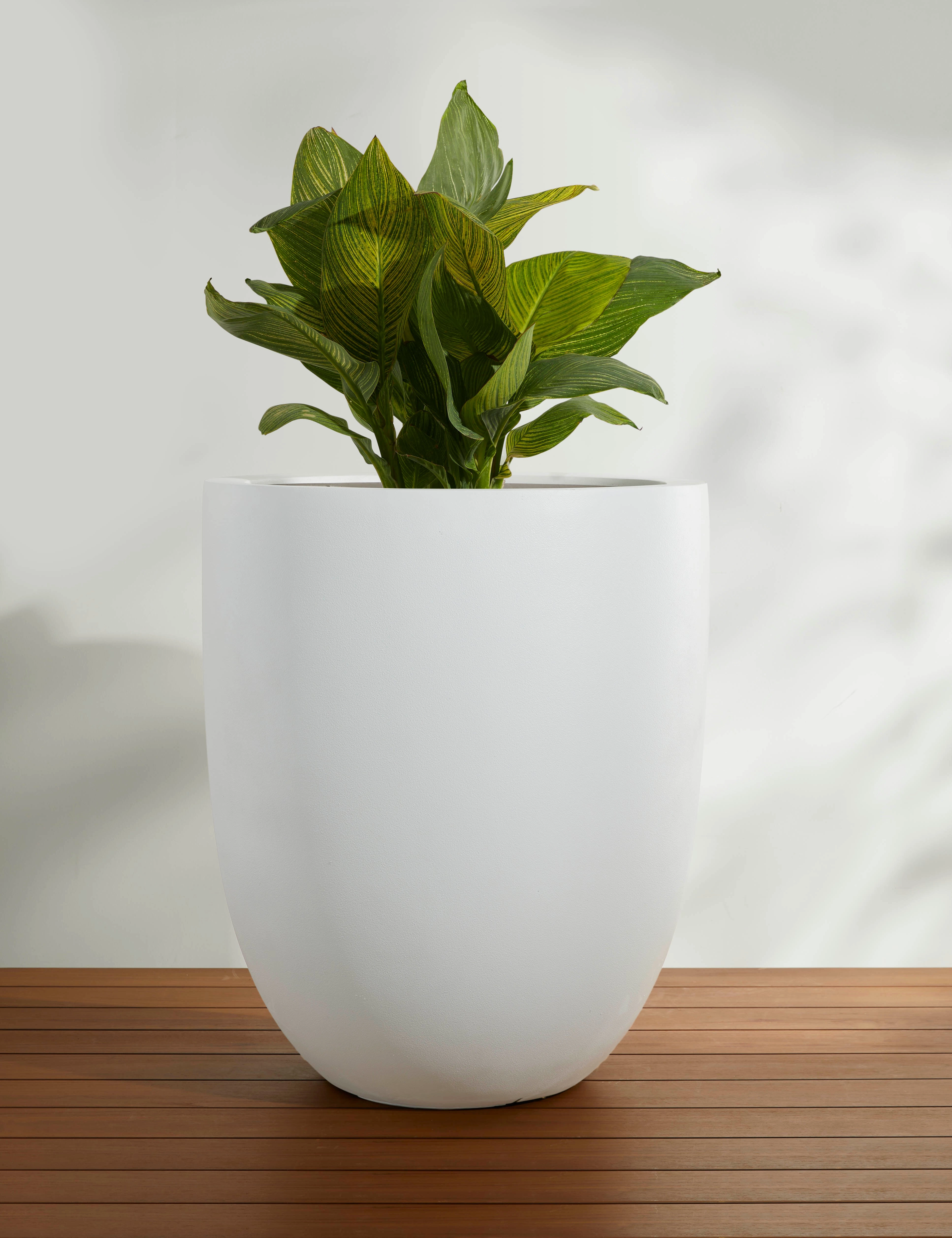 Bradford Planters by Campania International