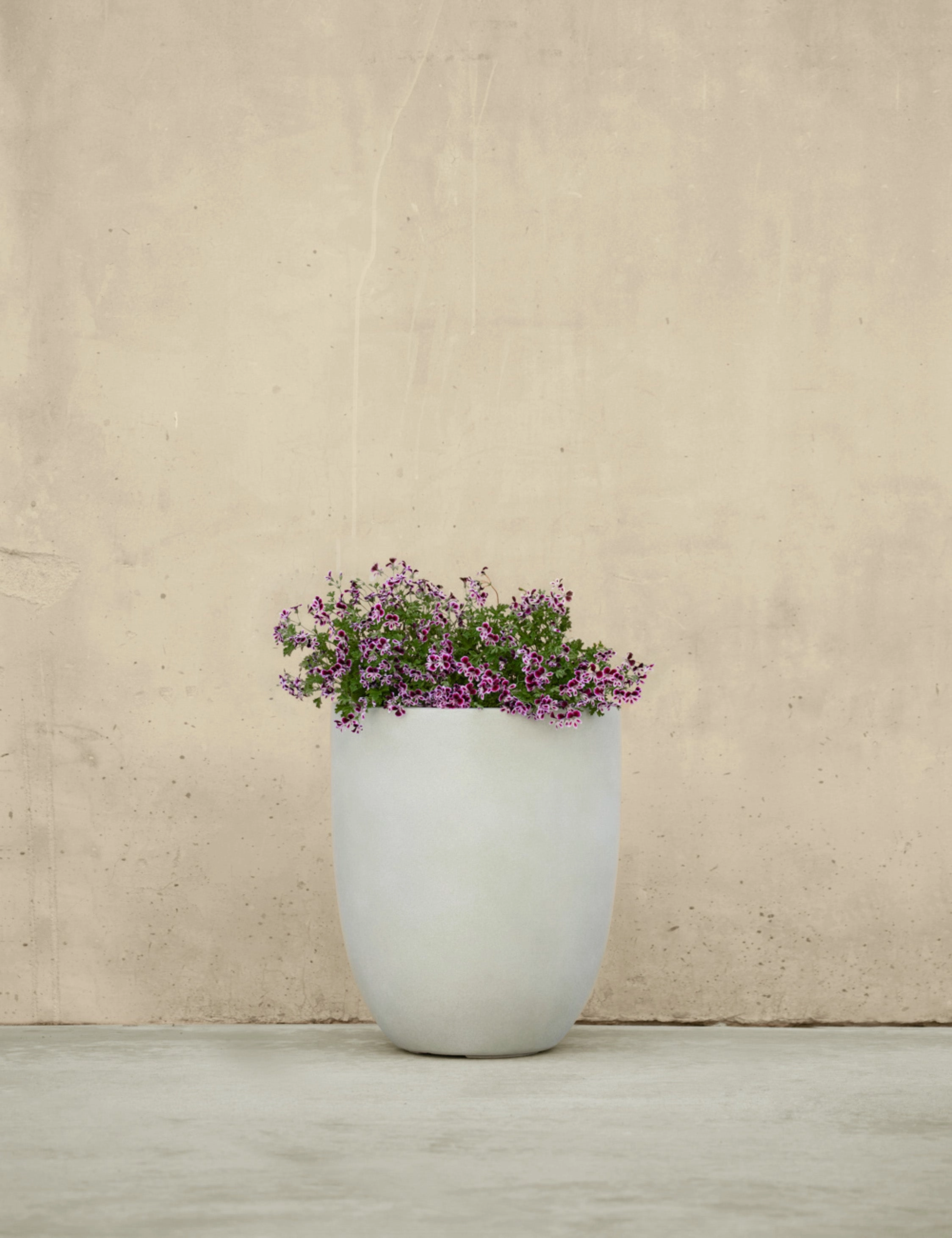 Bradford Planters by Campania International