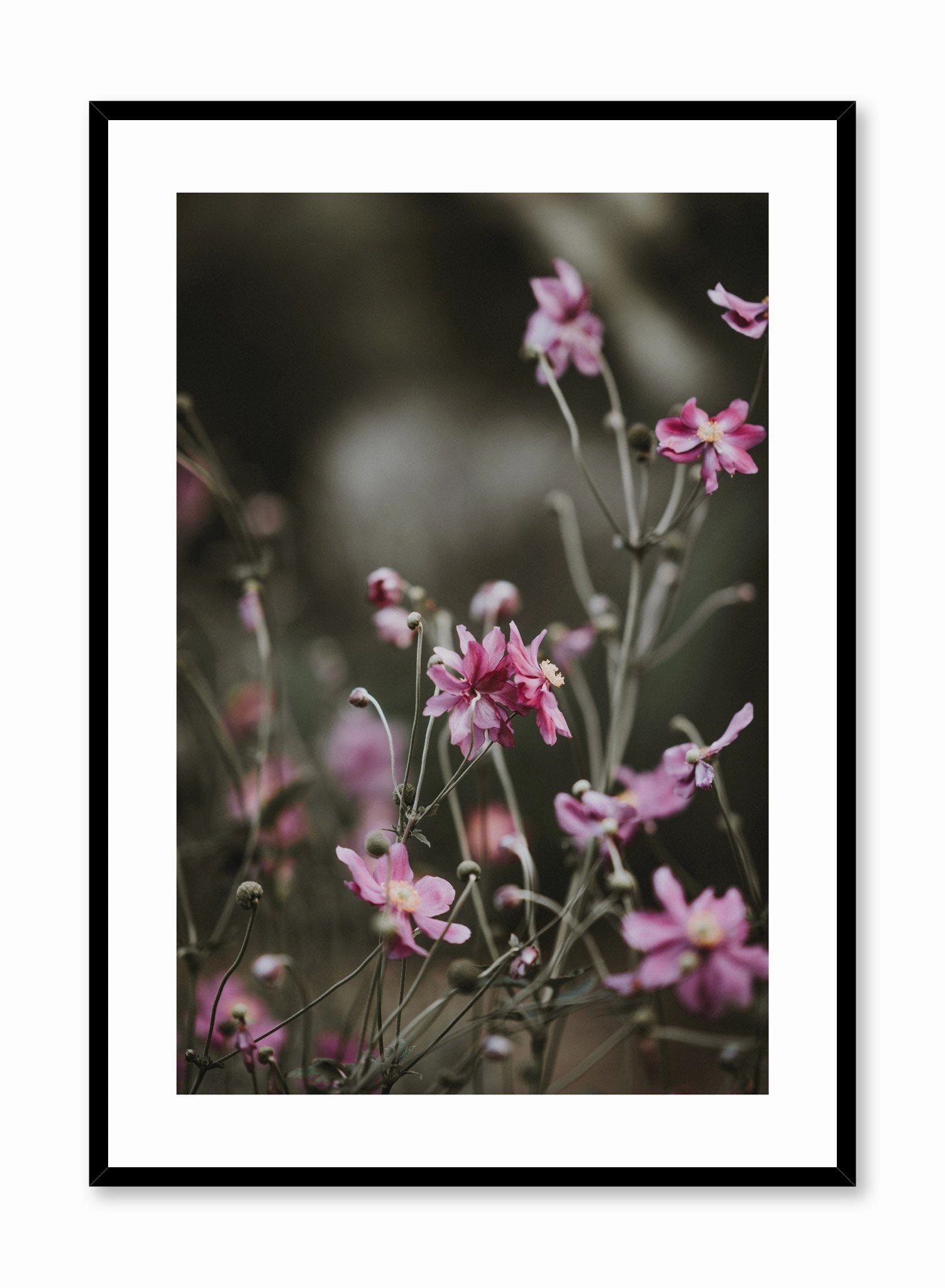 Bright Wildflowers, Posterpop culture themed posters