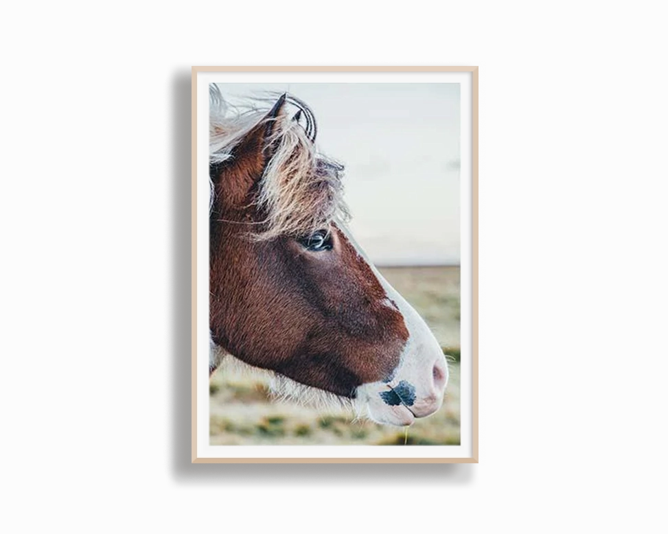 Brumby