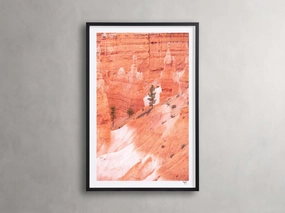 Bryce Canyon III Framed Printhome decor ,wall decor 