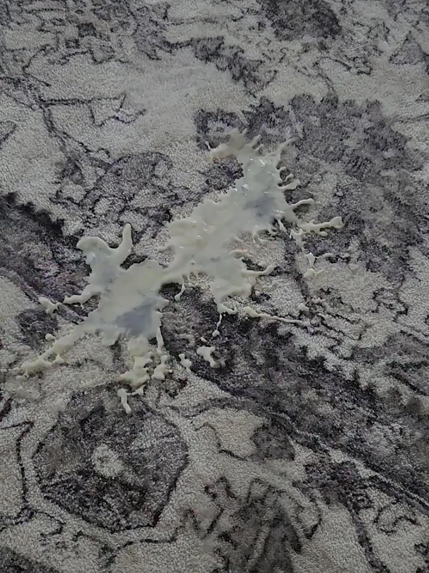 Calliope Grey and Ivory Distressed Washable Rug *NO RETURNS UNLESS FAULTY