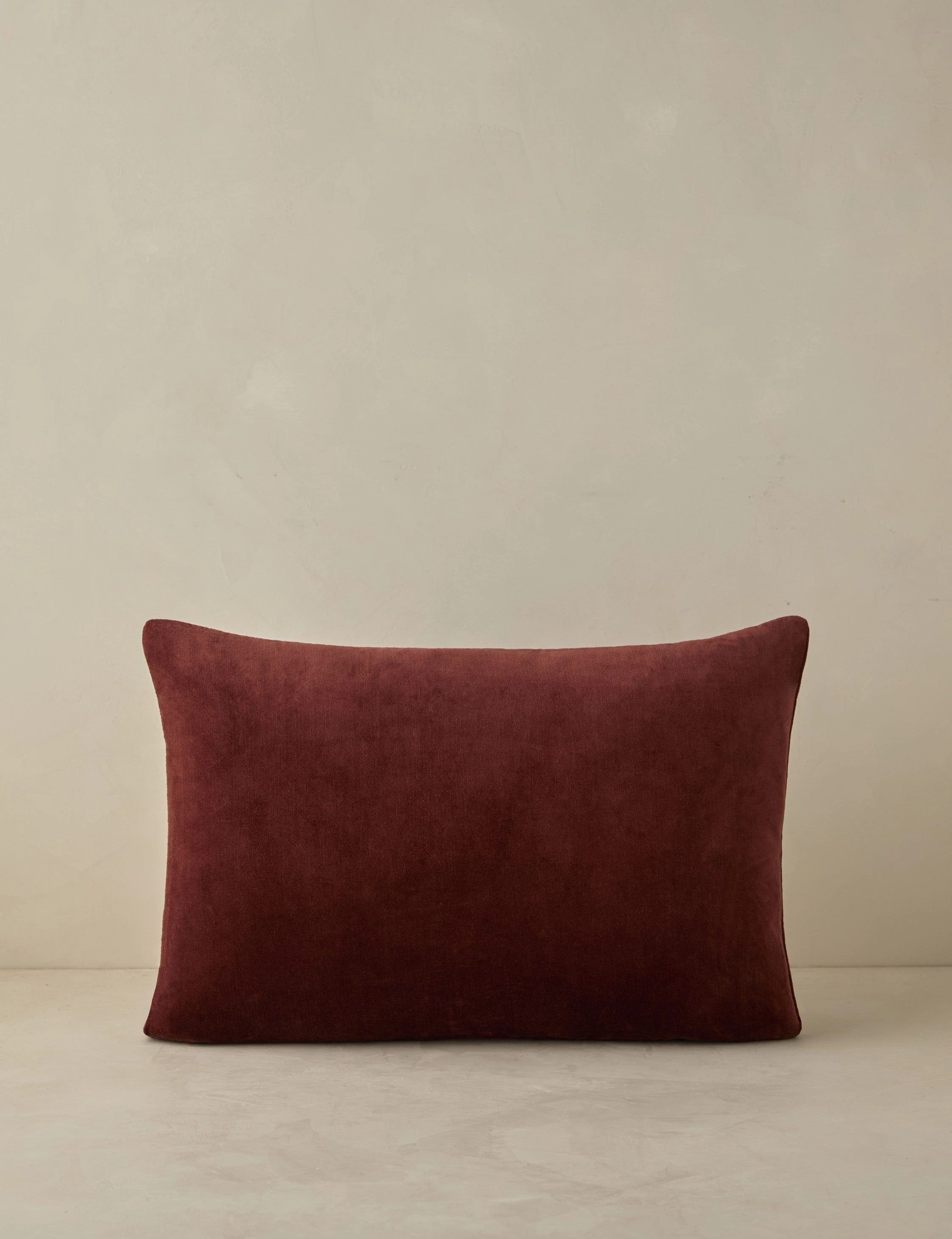 Carmine Velvet Pillow