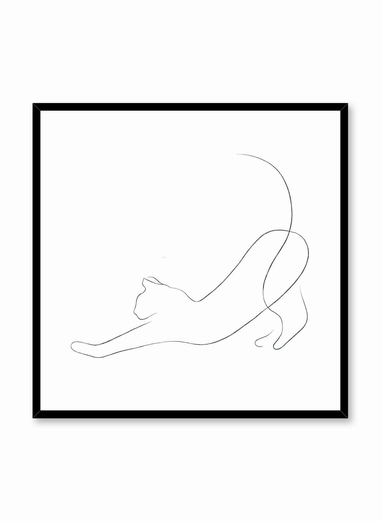 Cat Nap, Poster