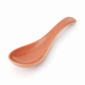 Ceramic Spoon Orangeboho style dinner plates for special occasions 