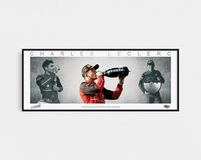 Charles Leclerc Collage Print Framed Wings Lithographhandmade souvenirs