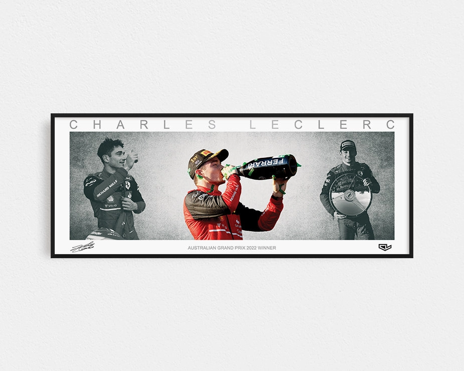 Charles Leclerc Collage Print Framed Wings Lithographhandmade souvenirs