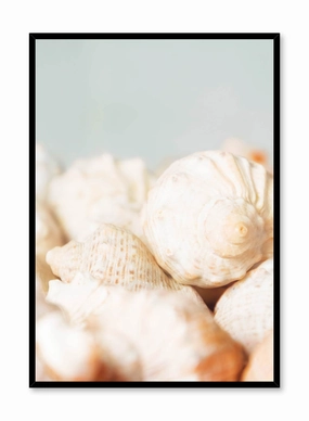 Conch, Posterpop culture themed posters
