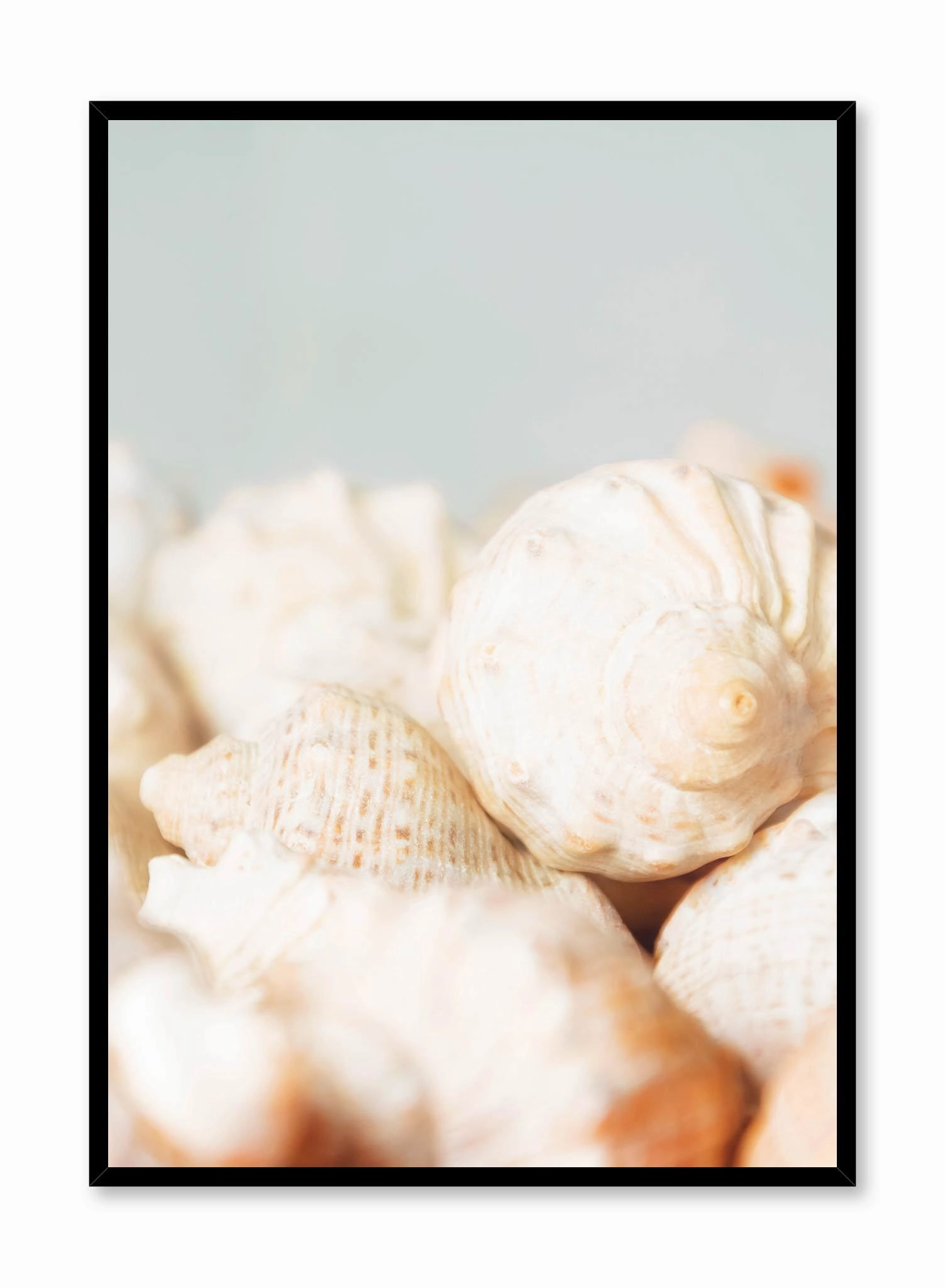 Conch, Posterpop culture themed posters