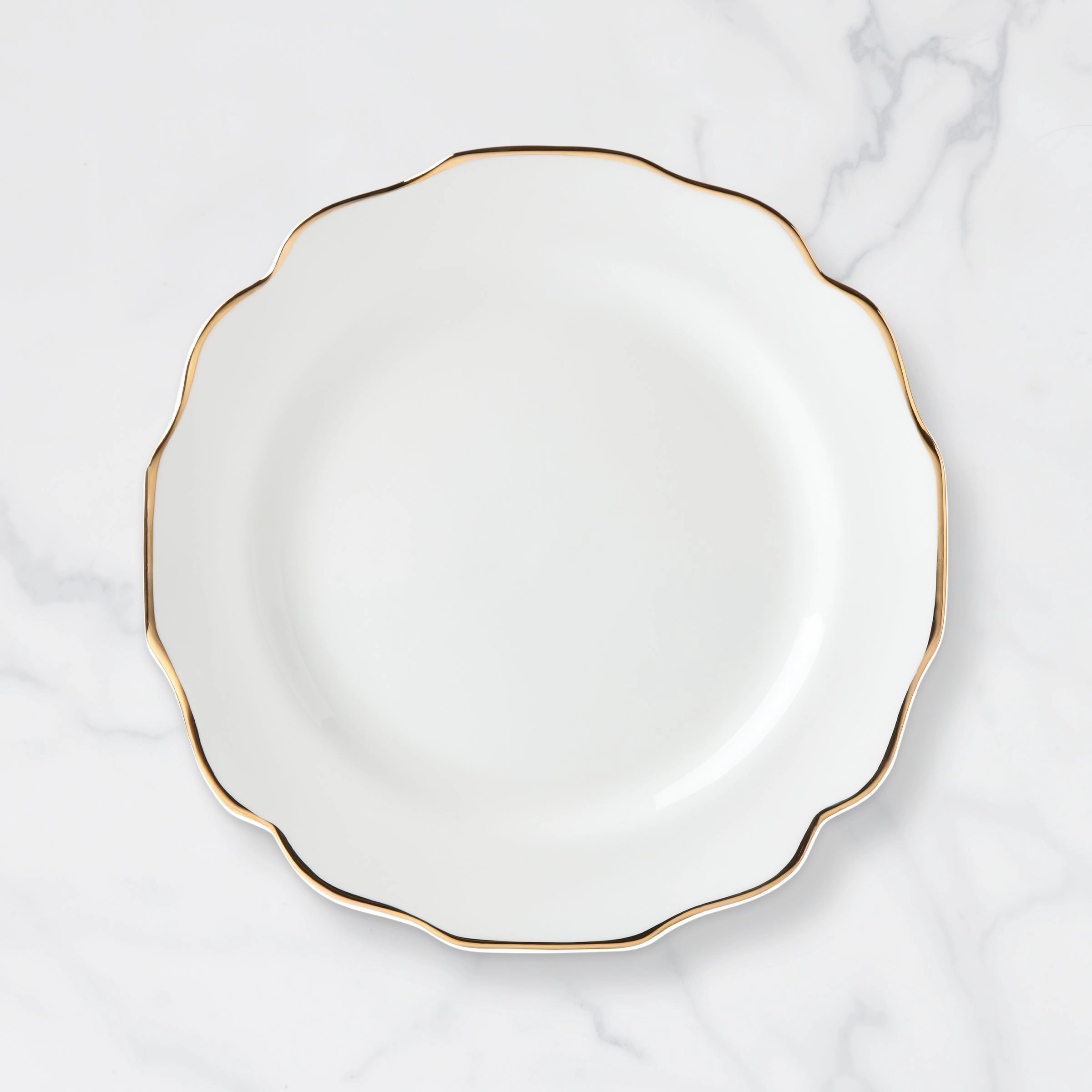 Contempo Luxe Dinner Platemodern kitchen decor ,kitchen dinner set ,dinnerware 