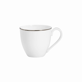 Continental Dining Platinum Teacupmodern kitchen decor ,kitchen dinner set ,dinnerware 