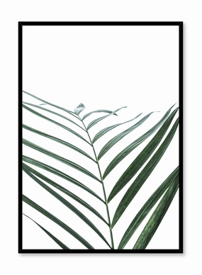 Curves, Posterpop culture themed posters
