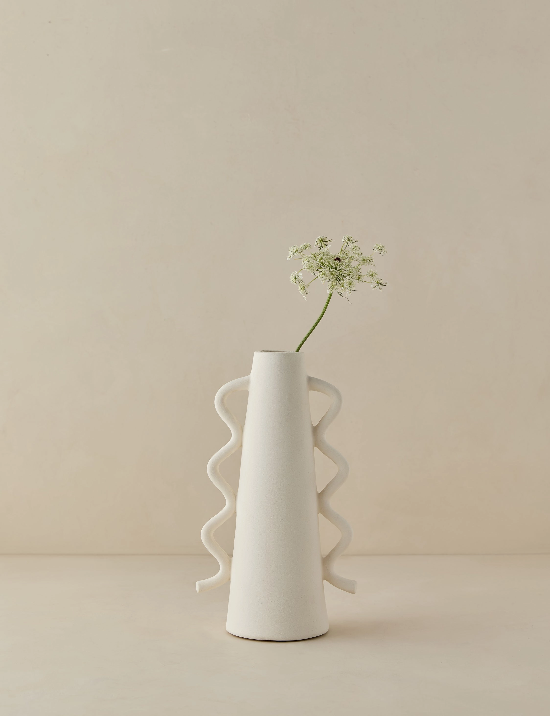 Cyrene Vasehome decor ,wall decor 